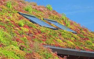 Hemsted living roof systems